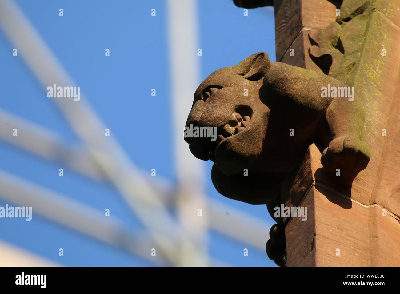 gargoyle, St Mary's Church, Nantwich, Cheshire Stock Photo