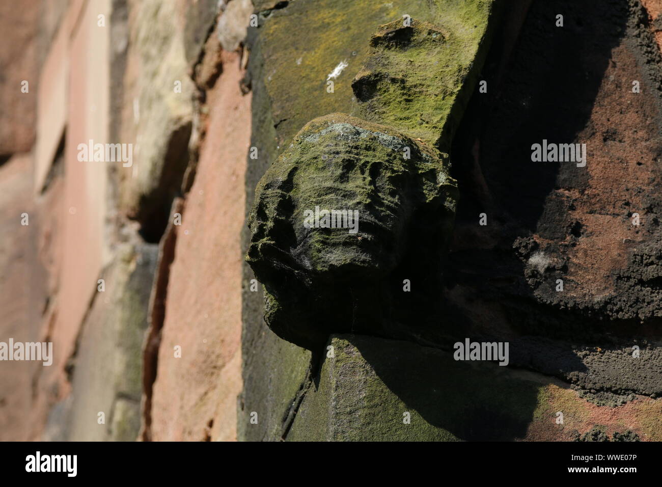 gargoyle, St Mary's Church, Nantwich, Cheshire Stock Photo