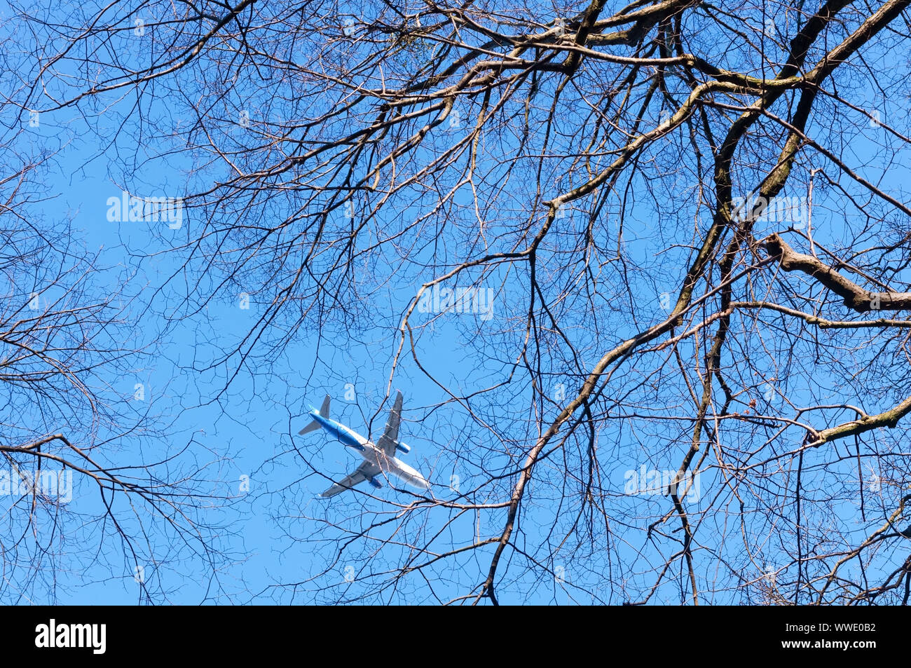 white plane in the sky, the plane can be seen through the branches of trees Stock Photo