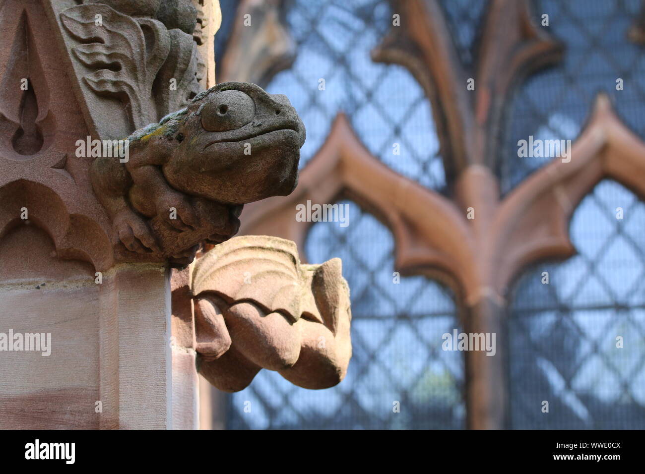 gargoyle, St Mary's Church, Nantwich, Cheshire Stock Photo