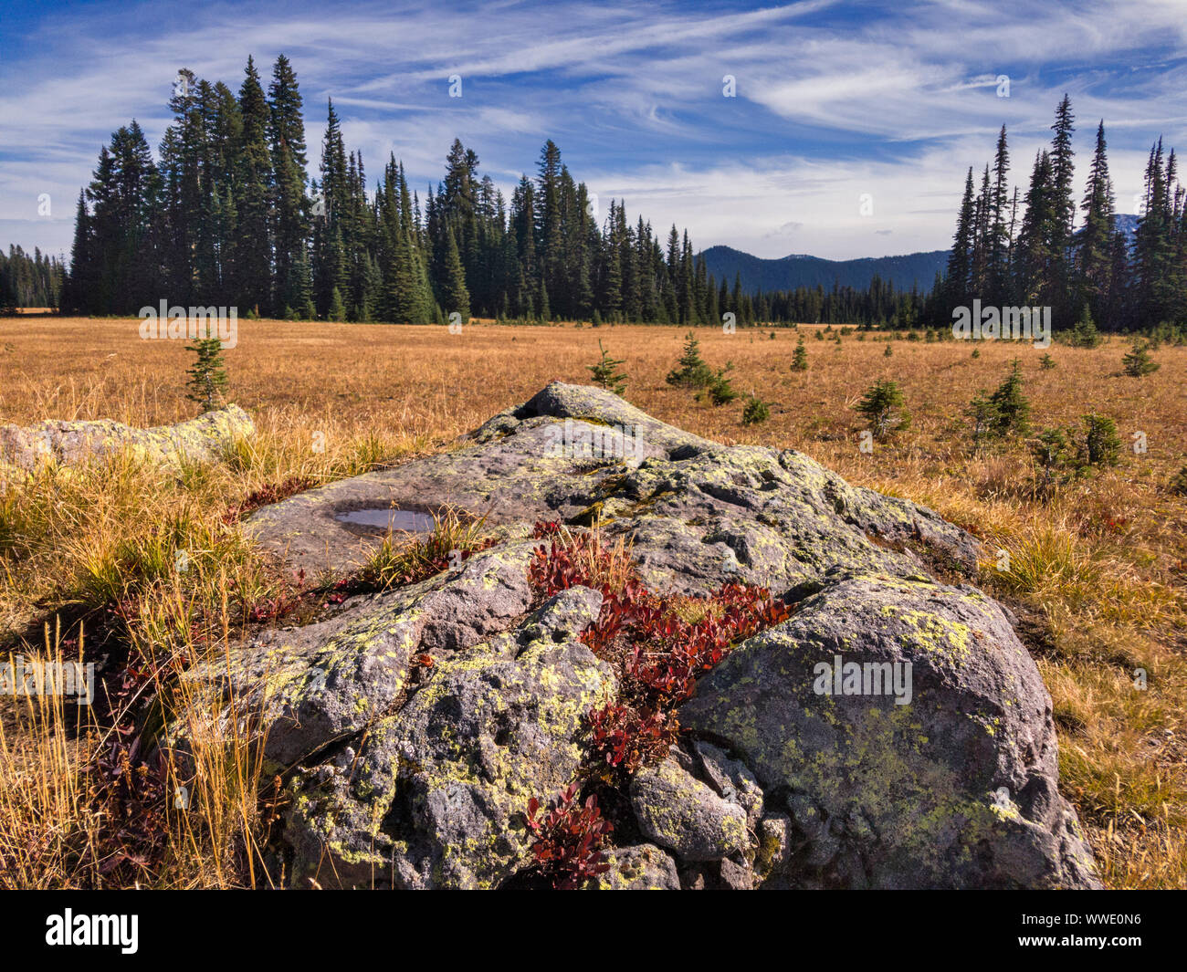Grand Park Mt Rainier Washington Stock Photo Alamy