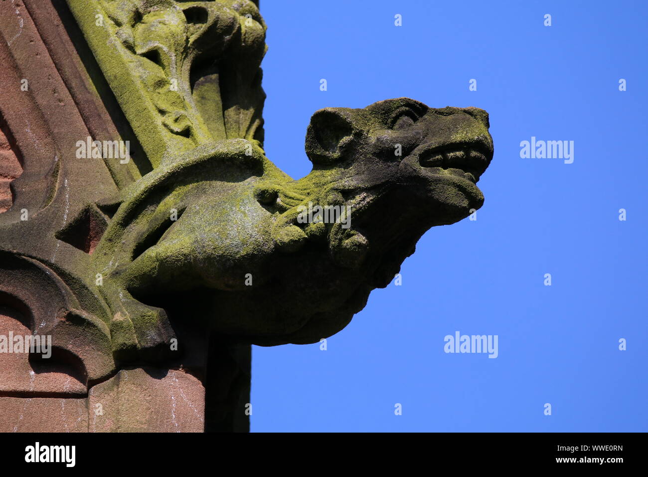 gargoyle, St Mary's Church, Nantwich, Cheshire Stock Photo