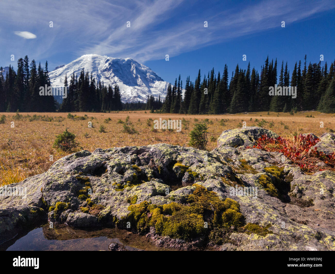 Grand Park, Mt Rainier, Washington Stock Photo