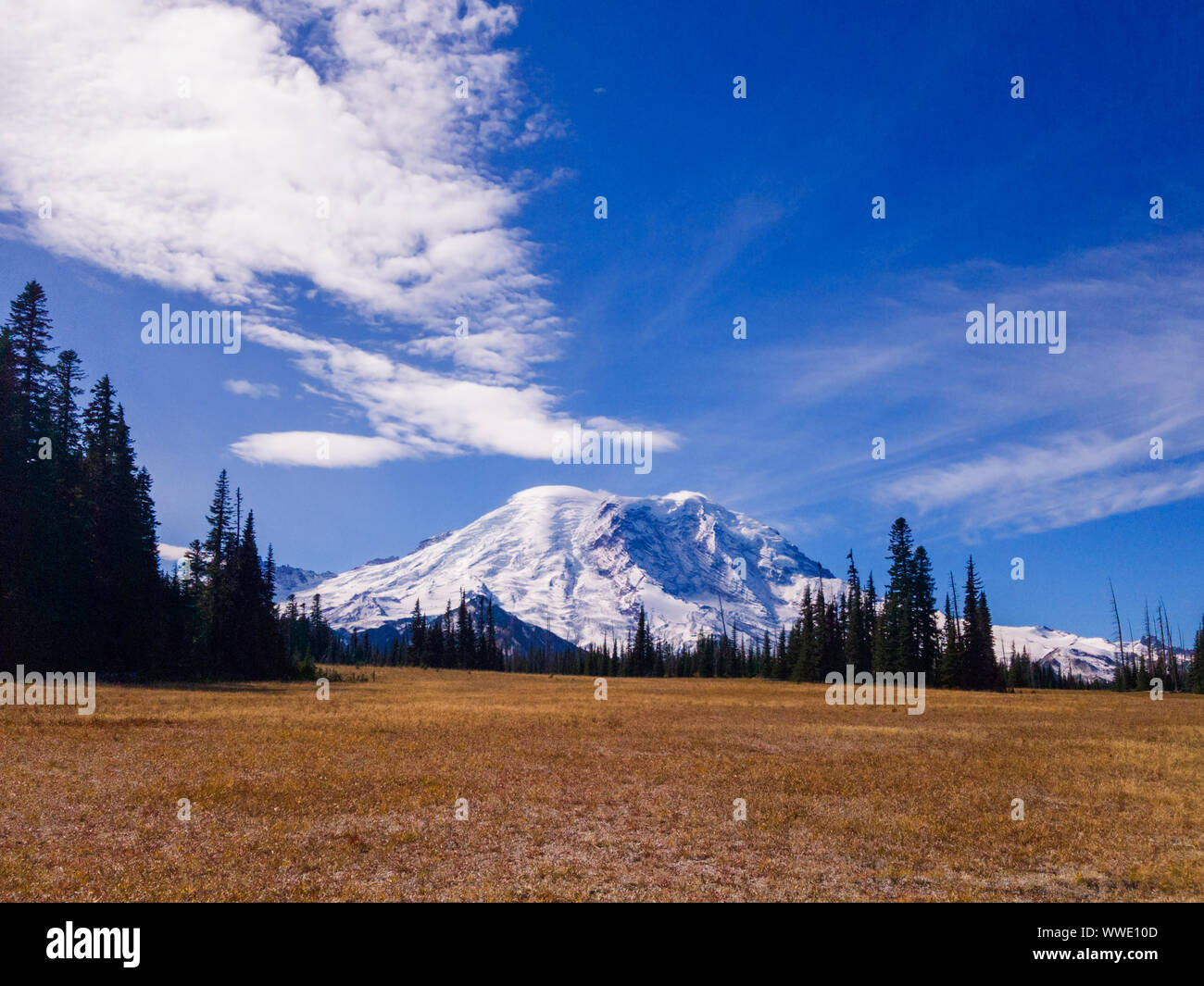 Grand Park Mt Rainier Washington Stock Photo Alamy