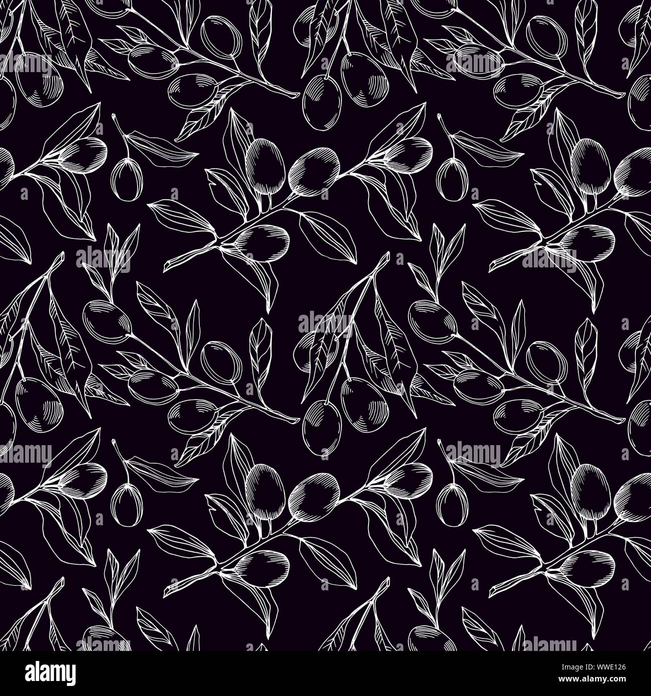 Vector Olive branch with fruit. Black and white engraved ink art ...