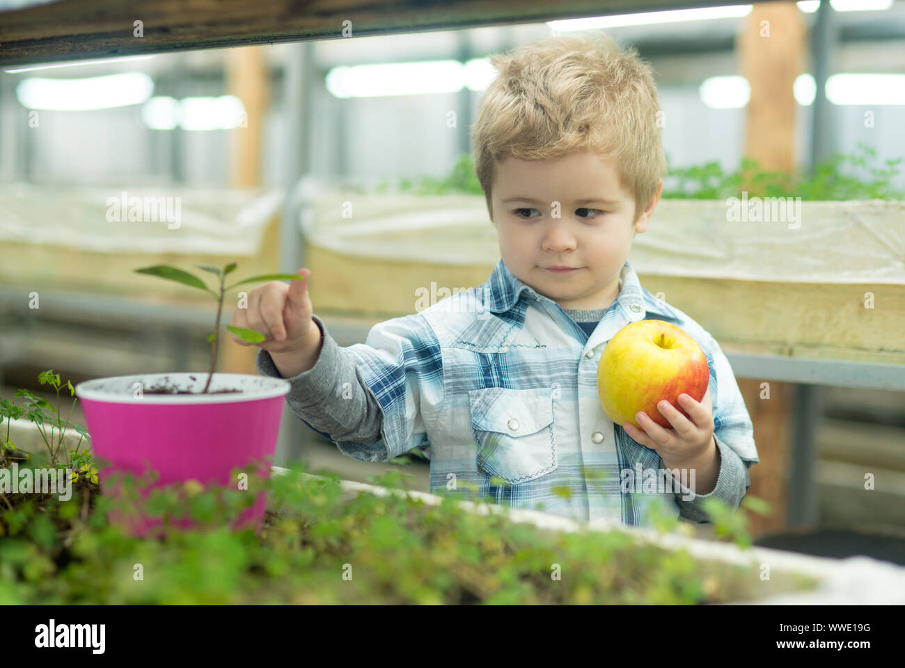 child care. chil care of plants in greenhouse. child care concept. care