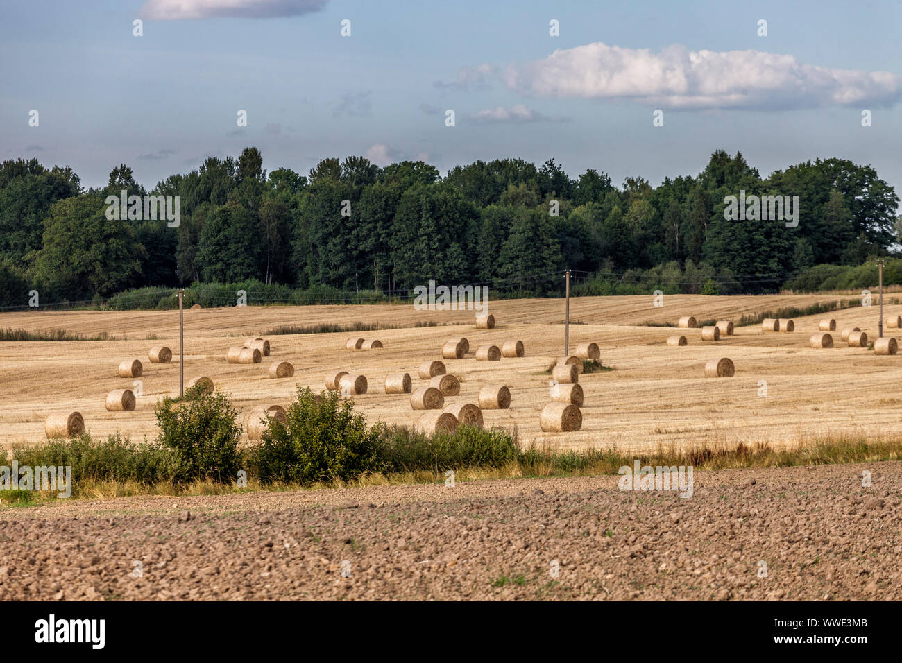 Farmland with Ray Rolls and Plowed Land Stock Photo