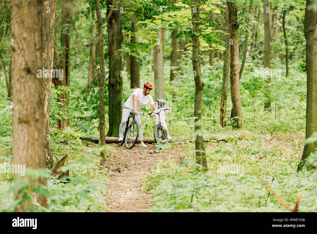 full length view of father and son standing in forest while man talking ...