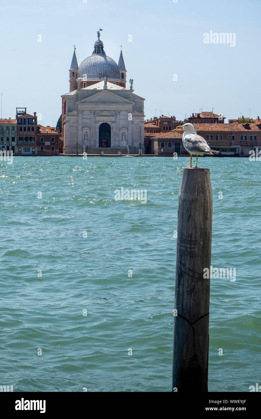 Venice Italy cityscape.The Island of Giudecca with a Seagull in the foreground in Venice and the church of Santissimo Redentore in the background, Ita Stock Photo