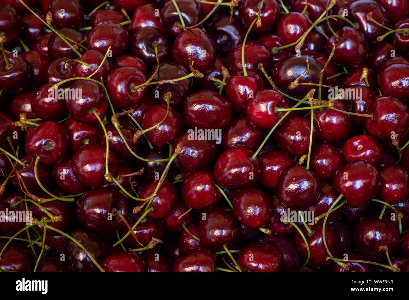 Aerial view of many cherries Stock Photo