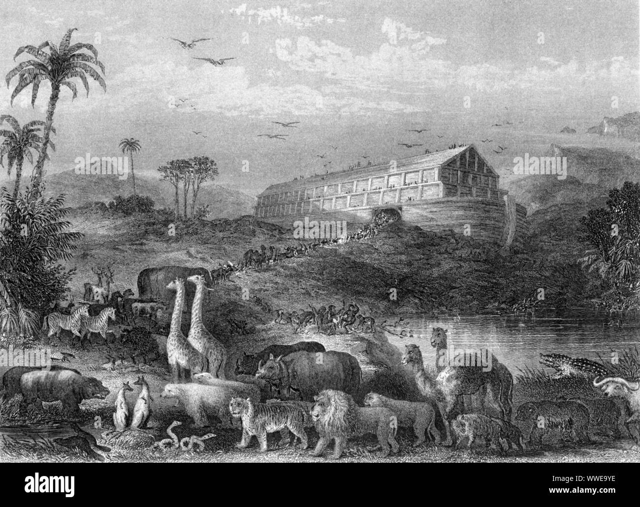 AJAXNETPHOTO. 1890 (APPROX). ENGLAND. - NOAH'S ARK - LATE 19TH CENTURY STEEL ENGRAVING OF ANIMALS ENTERING NOAH'S ARK TWO BY TWO ON MOUNT ARARAT IN AN ENDEAVOUR TO ESCAPE THE GREAT FLOOD. © DIGITAL IMAGE COPYRIGHT AJAX VINTAGE PICTURE LIBRARY SOURCE: AJAX VINTAGE PICTURE LIBRARY COLLECTION REF:()AVL SHH ARK ENGR 1890 Stock Photo