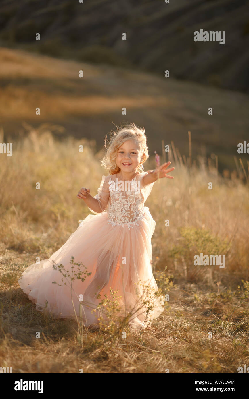 Portrait of a beautiful little princess girl in a pink dress. Posing in a  field at sunset Stock Photo - Alamy