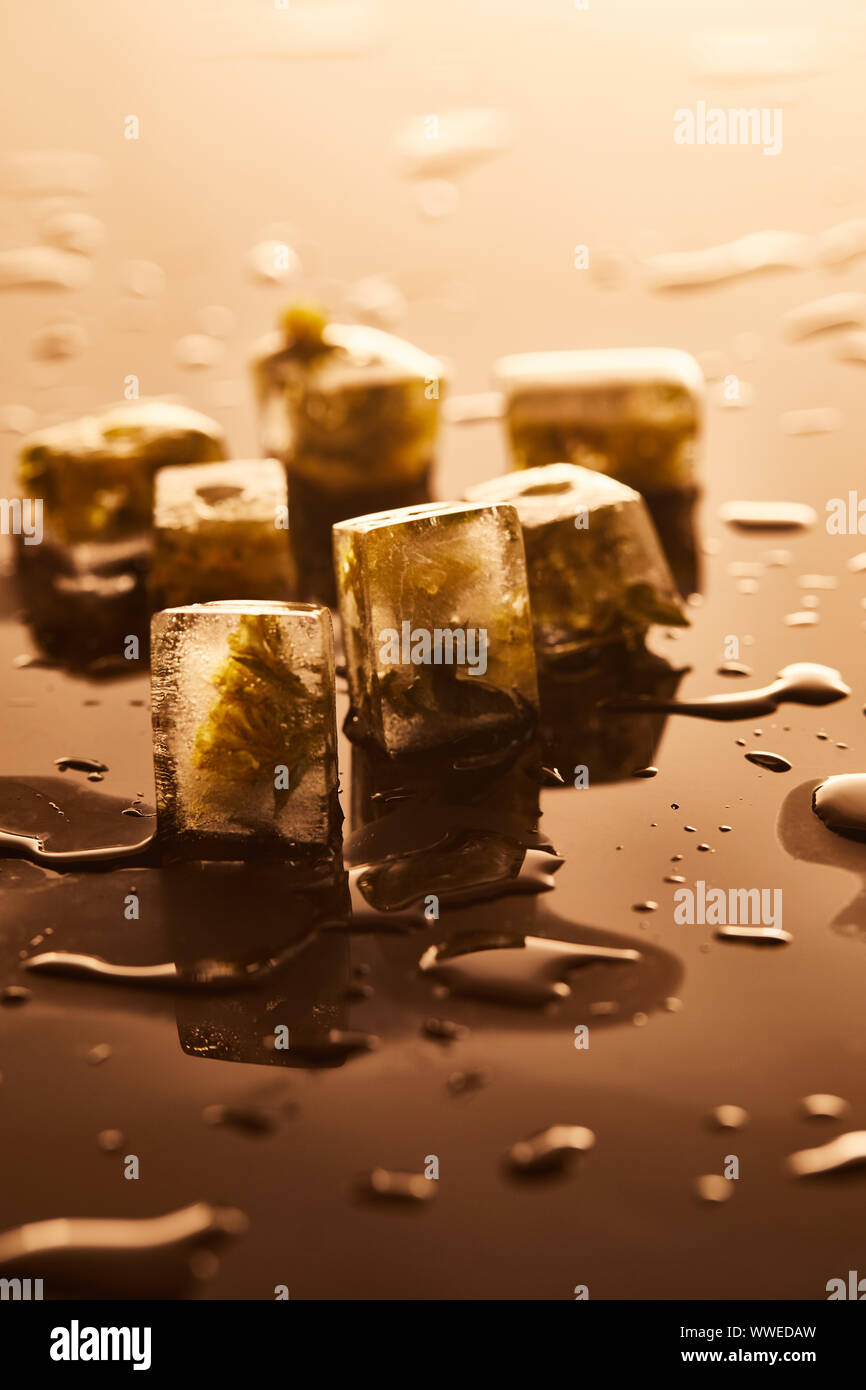 stack of transparent ice cubes with frozen flowers on brown background ...