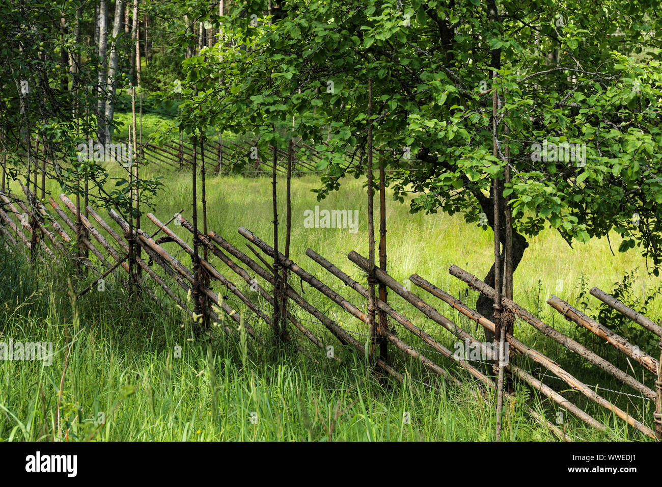 Traditional wooden roundpole fence on meadow in Pentala Island in Espoonlahti Bay, Finland Stock Photo