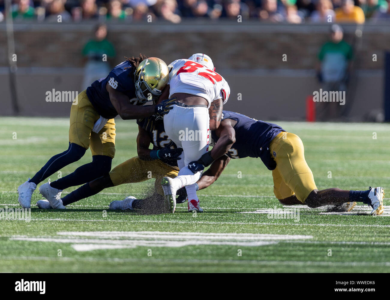 South Bend, Indiana, USA. 14th Sep, 2019. New Mexico tight end Jeffrey Jone Jr. (82) runs with the ball as Notre Dame defenders make the tackle during NCAA football game action between the New Mexico Lobos and the Notre Dame Fighting Irish at Notre Dame Stadium in South Bend, Indiana. Notre Dame defeated New Mexico 66-14. John Mersits/CSM/Alamy Live News Stock Photo