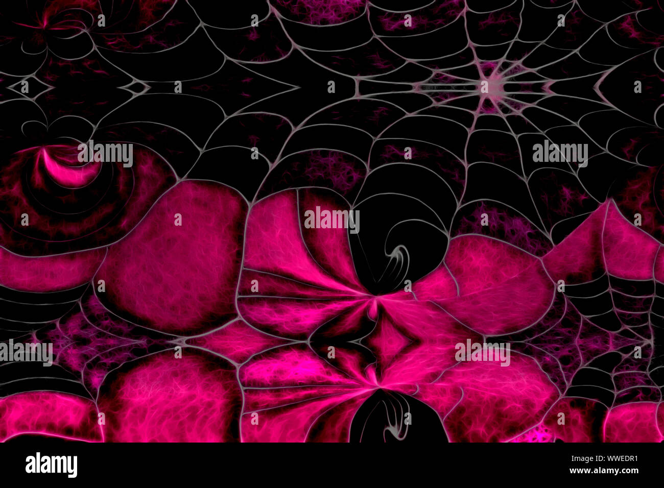 Spiderweb, Photocollage, illustriert Stock Photo