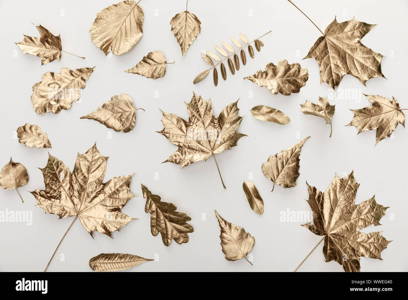top view of golden autumnal leaves on white background Stock Photo - Alamy