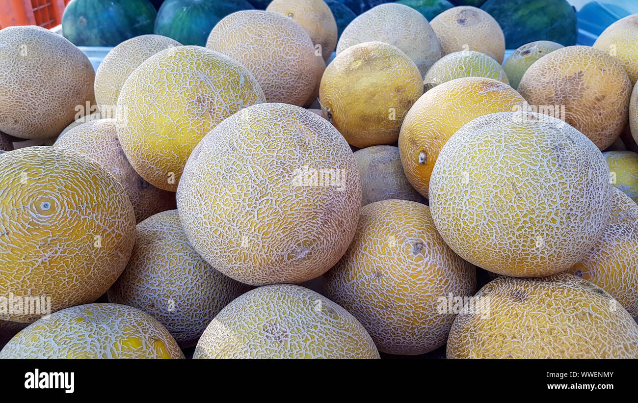Melons in market for sale Stock Photo Alamy