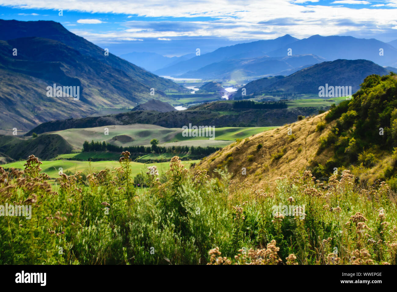 New Zealand Countryside on a road trip through the southern island Stock Photo