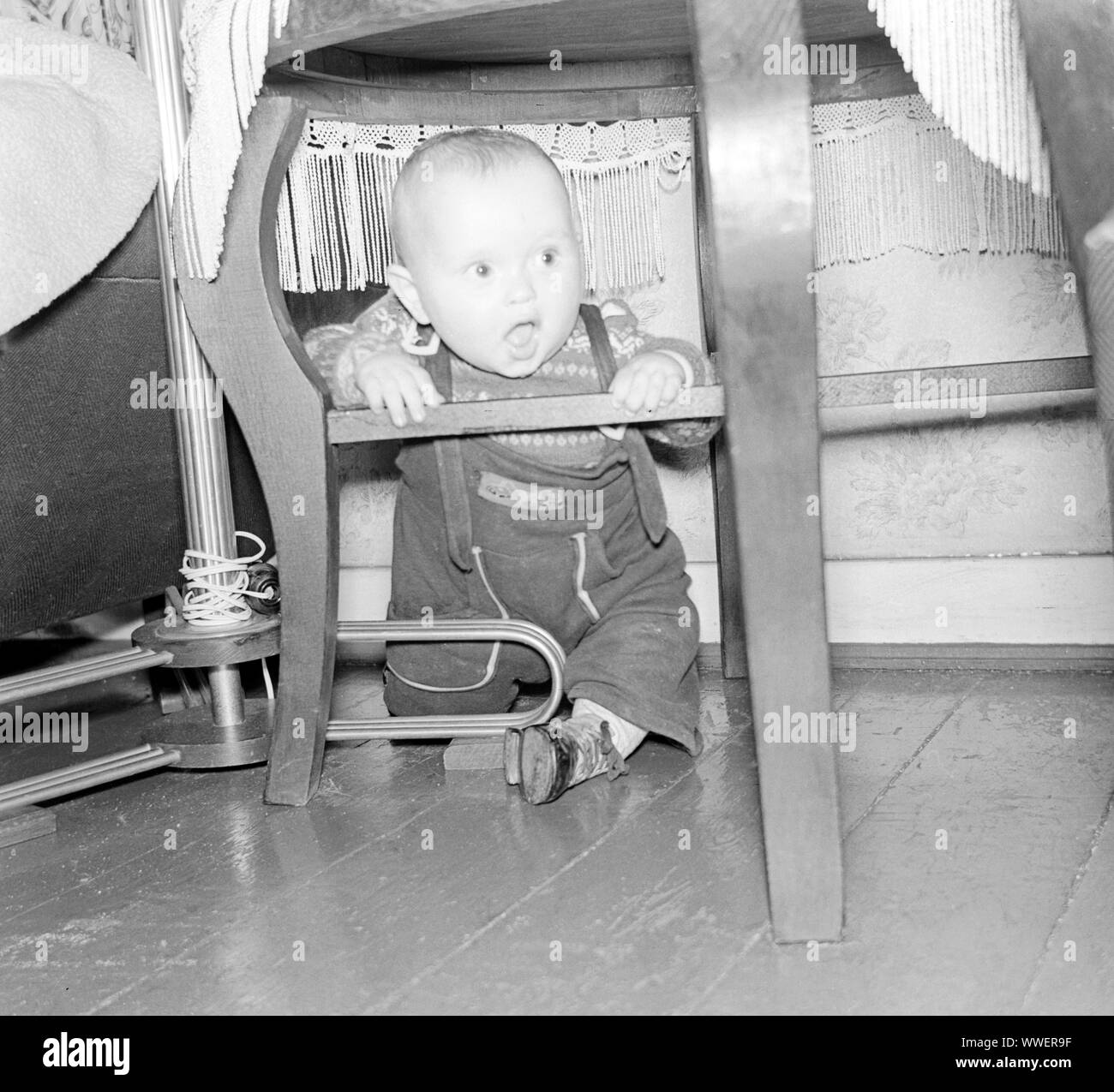 Europa, Deutschland, Hamburg, Kleinkind krabbelt unter einen Tisch, 1950er Jahre  /  Europe, Germany, Hamburg, little child under a table, in the 1950th . Stock Photo