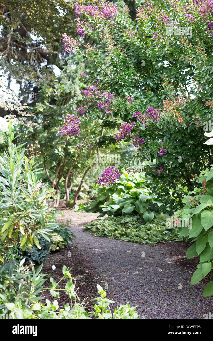A path through Sebright Gardens, in Salem, Oregon, USA Stock Photo Alamy