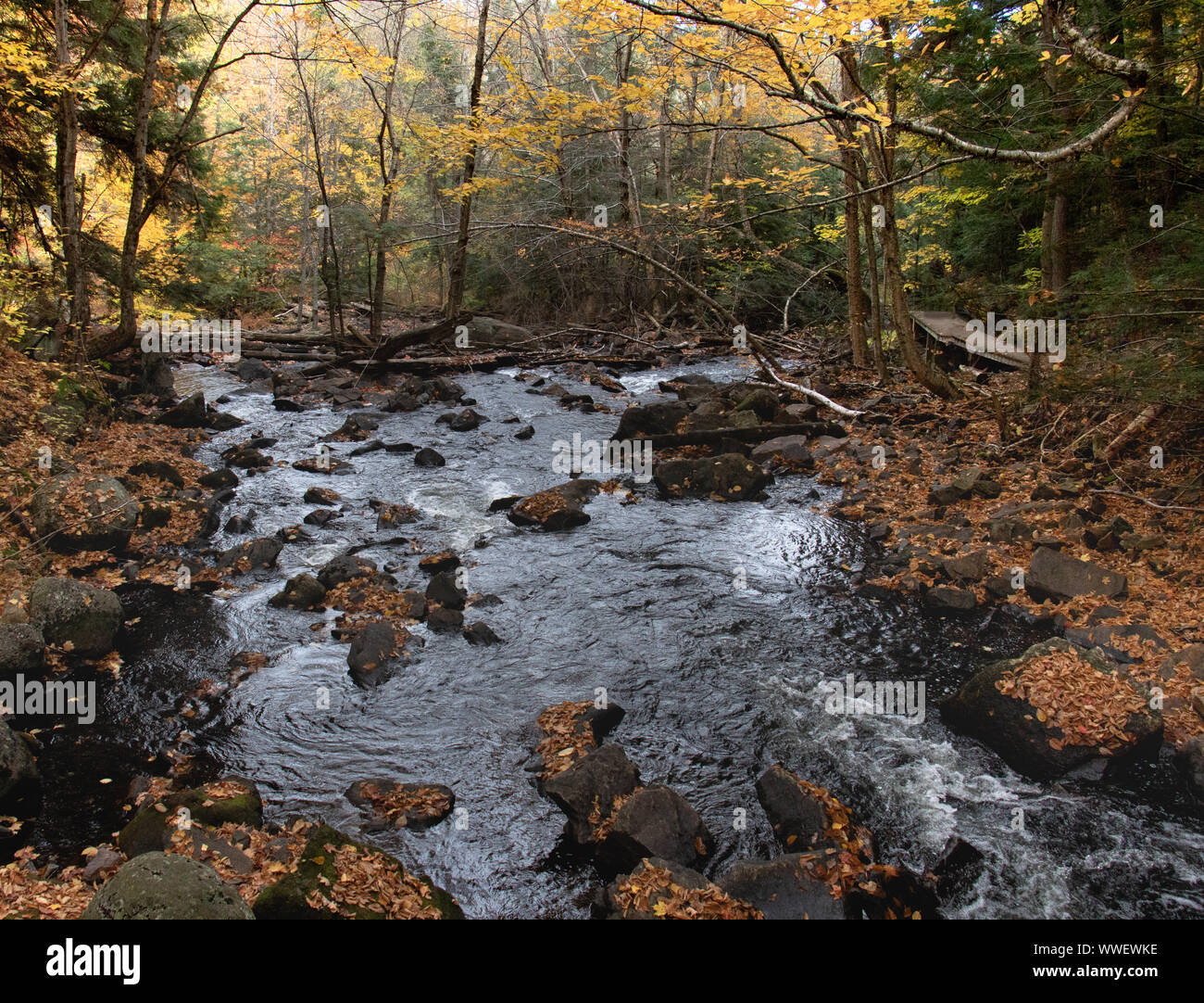 Beautiful autumn scene of a rocky river surrounded by forest in Algonquin Park Stock Photo