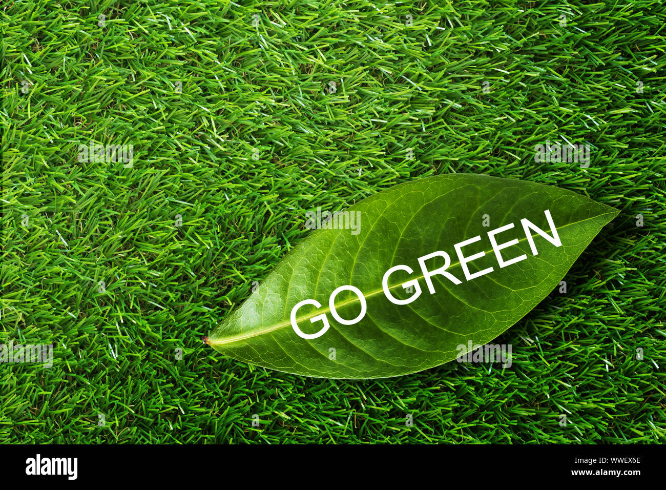 Ecology Concept Save Energy Text Go Green And Leaf On Grass