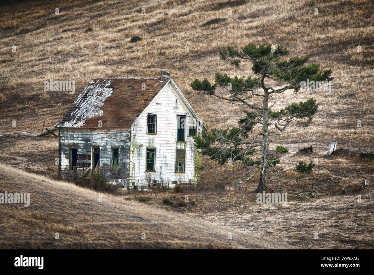 Abandoned house near Point Reyes, California Stock Photo Alamy