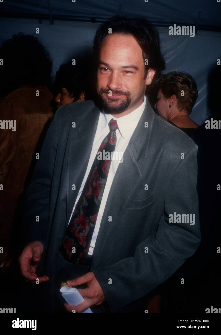 West Hollywood, California, USA 10th December 1994 Actor David Packer