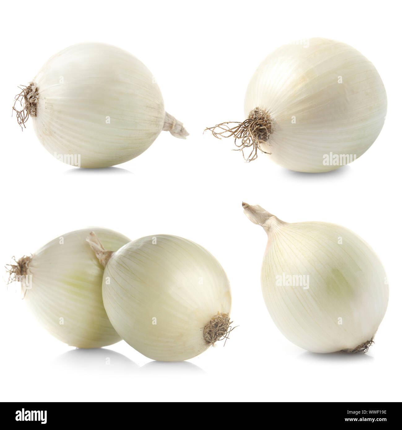 Set with raw onion on white background Stock Photo - Alamy