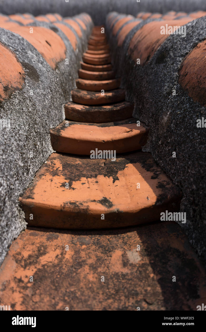 Close-up view of Japanese terracotta roof tiles in Okinawa, Japan Stock Photo