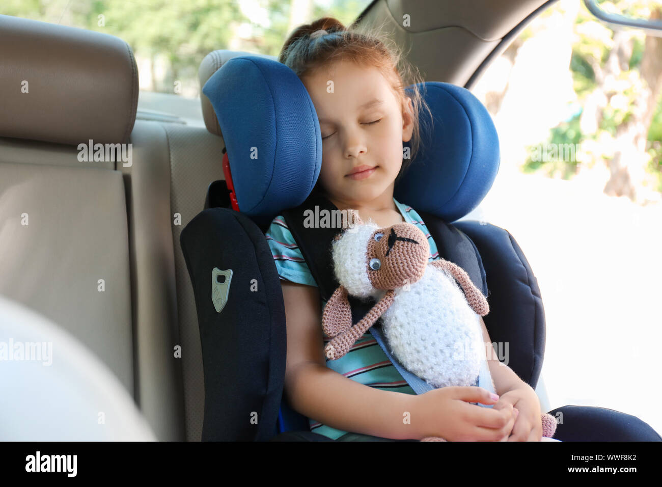 Sleeping little girl buckled in car safety seat Stock Photo Alamy