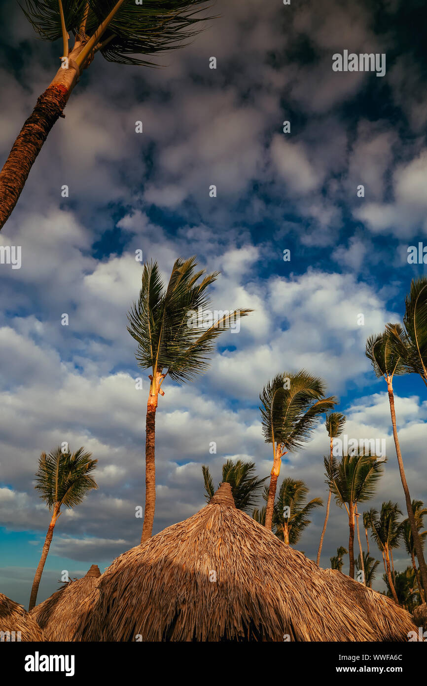 download country tropical download country tropical
