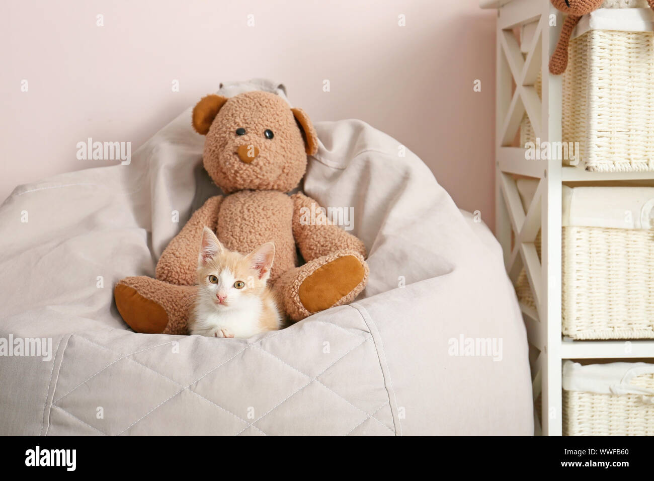 Adorable Kitten With Teddy Bear On Beanbag Chair In Room