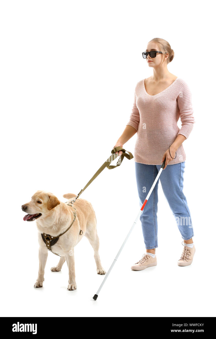 Young blind woman with guide dog on white background Stock Photo - Alamy