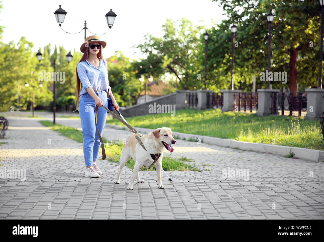 Young blind woman with guide dog walking in park Stock Photo - Alamy