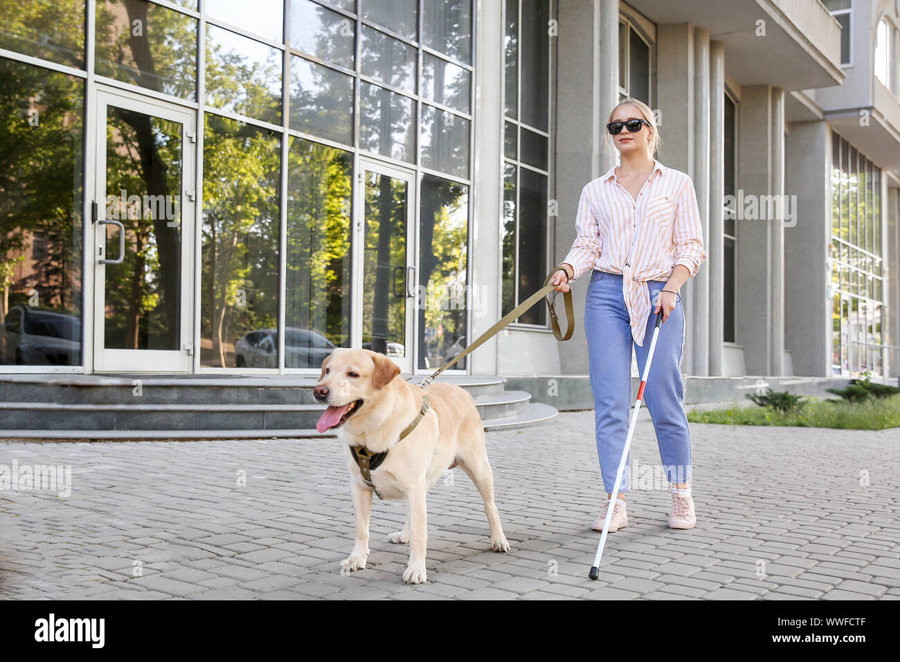 Young blind woman with guide dog outdoors Stock Photo - Alamy