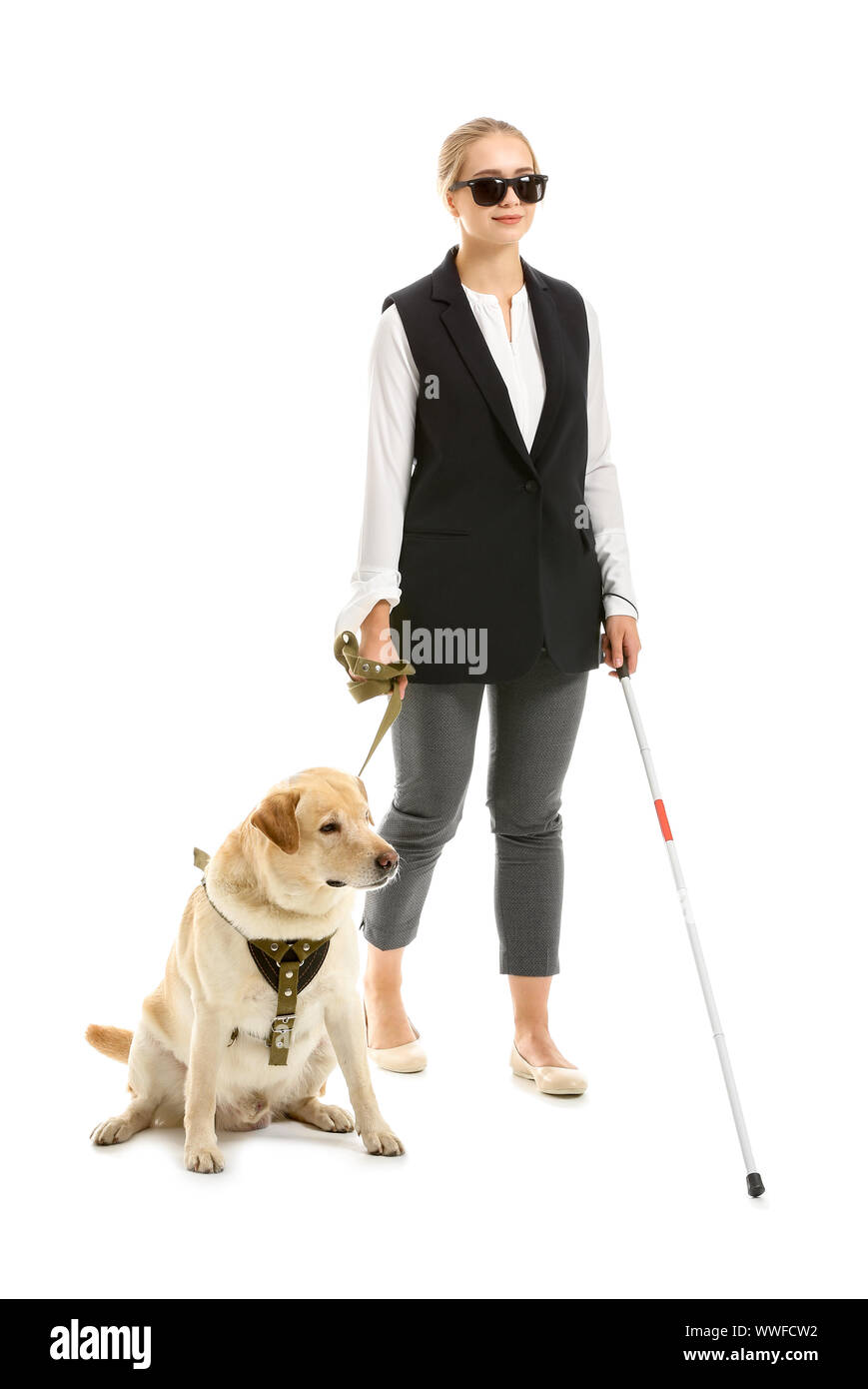 Young blind woman with guide dog on white background Stock Photo - Alamy