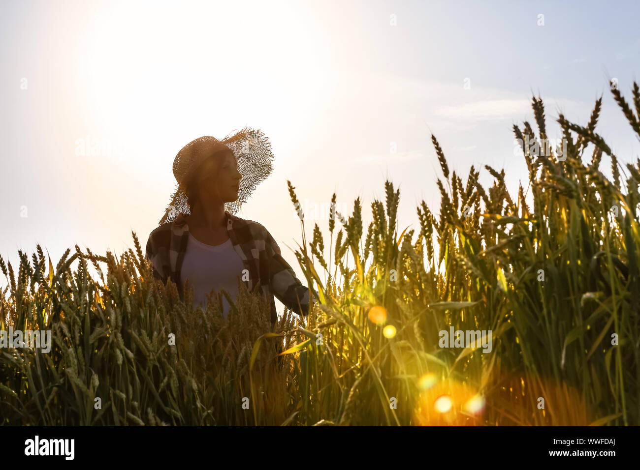 Farmer in field on sunny day Stock Photo - Alamy