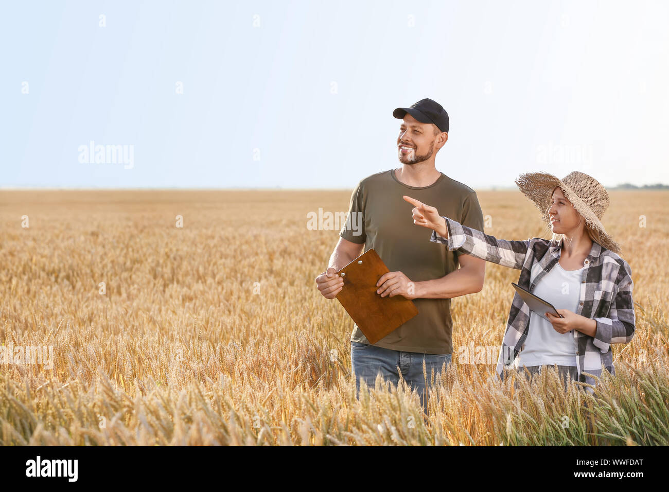 Farmers in field on sunny day Stock Photo - Alamy