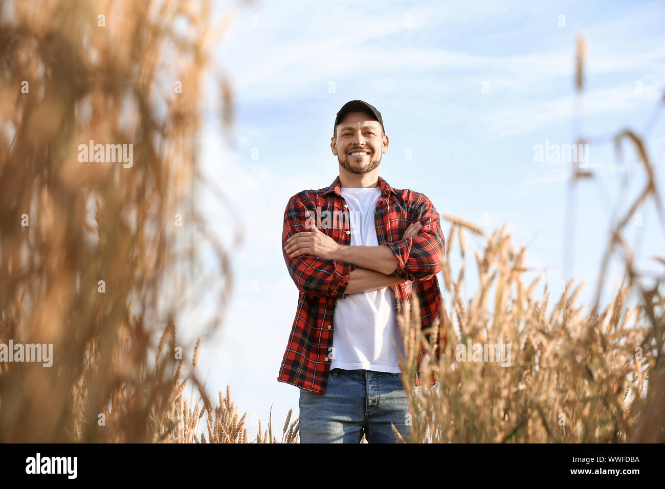 Farmer in field on sunny day Stock Photo - Alamy