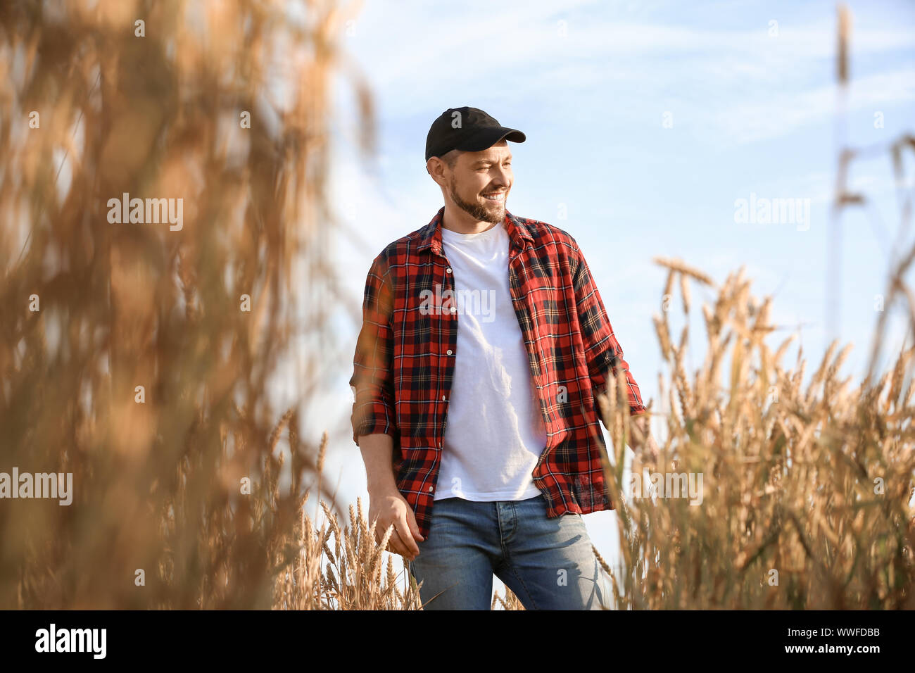Farmer in field on sunny day Stock Photo - Alamy