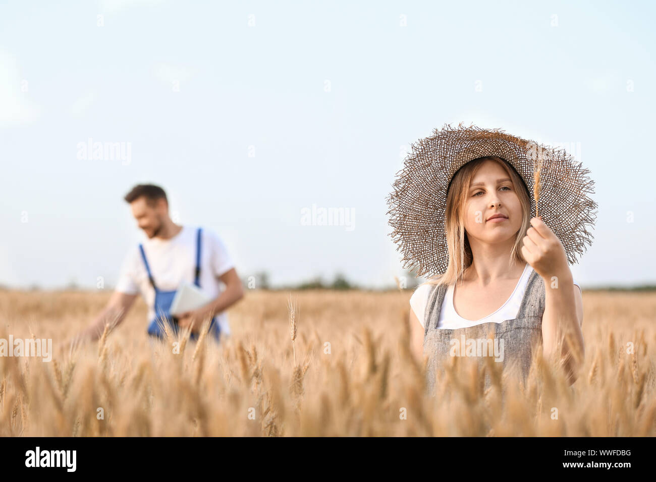 Farmers in field on sunny day Stock Photo - Alamy