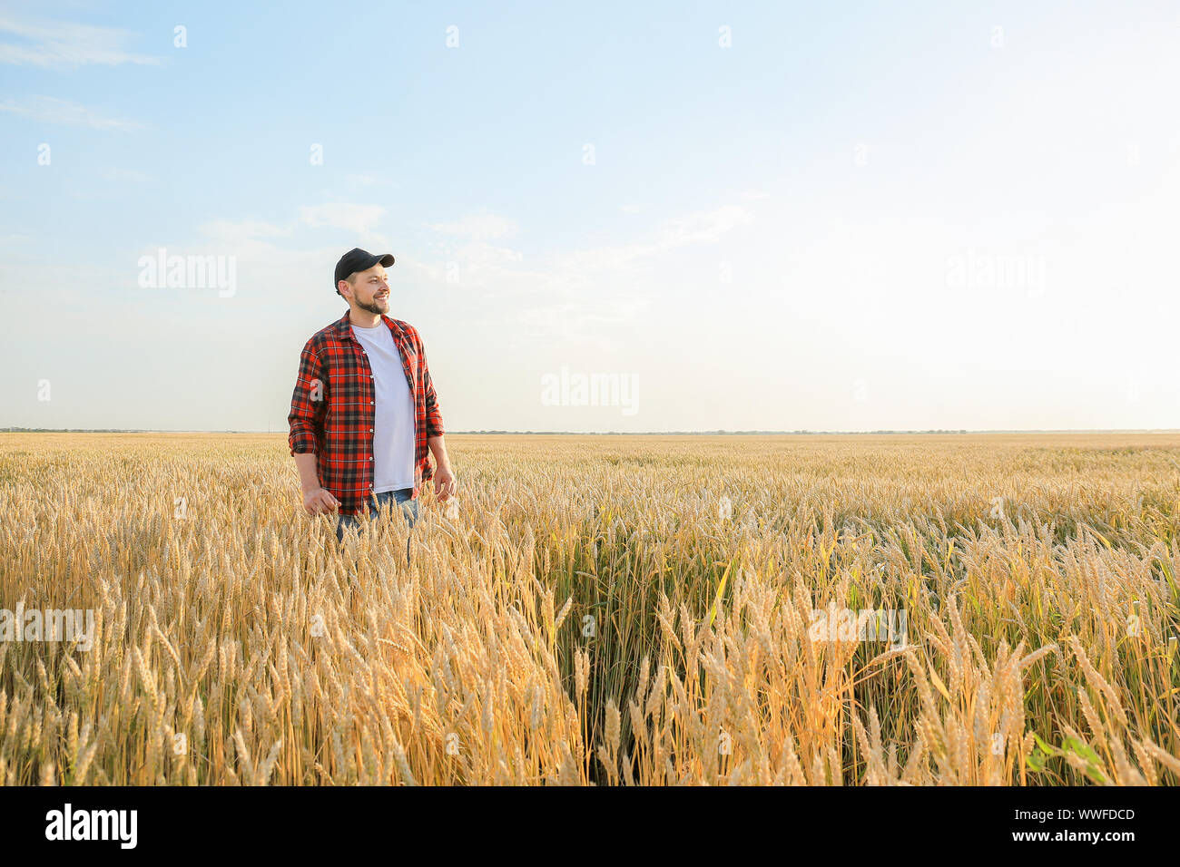 Farmer in field on sunny day Stock Photo - Alamy