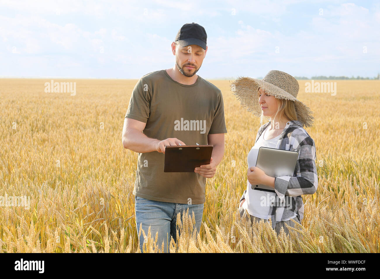 Farmers in field on sunny day Stock Photo - Alamy