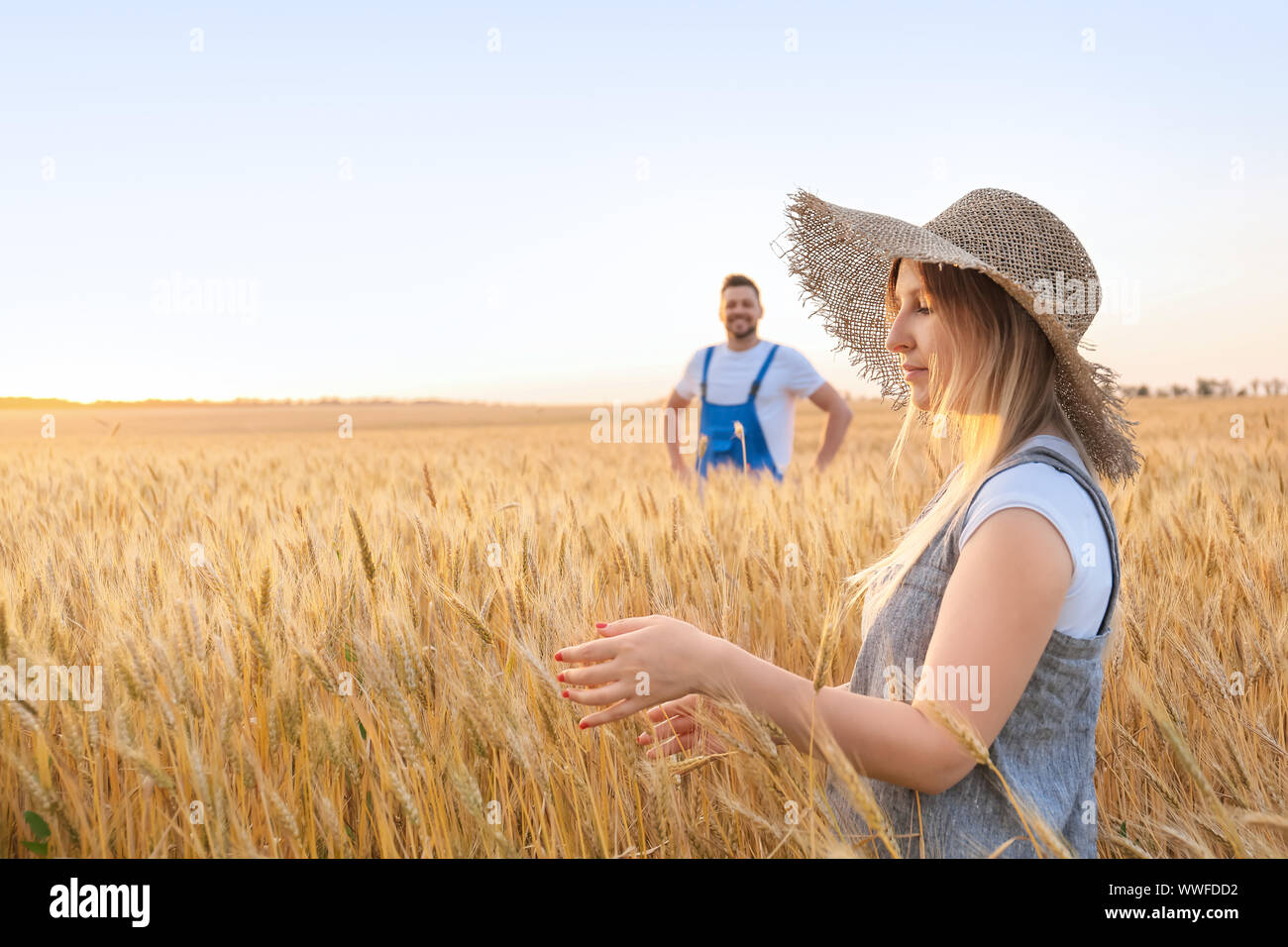 Farmers in field on sunny day Stock Photo - Alamy
