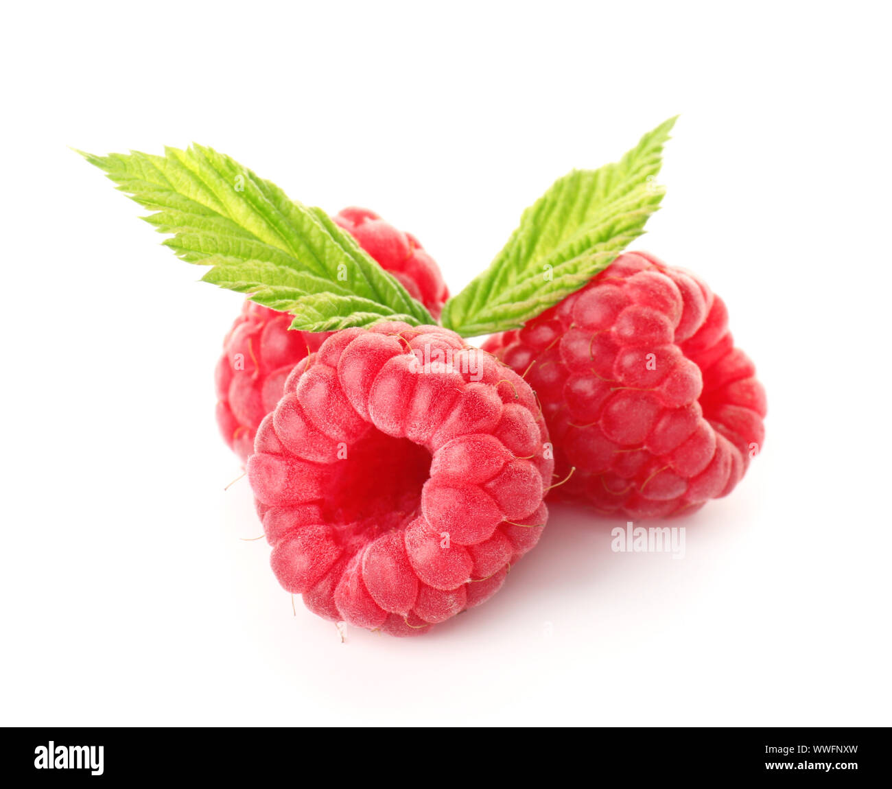 Sweet ripe raspberry on white background Stock Photo - Alamy