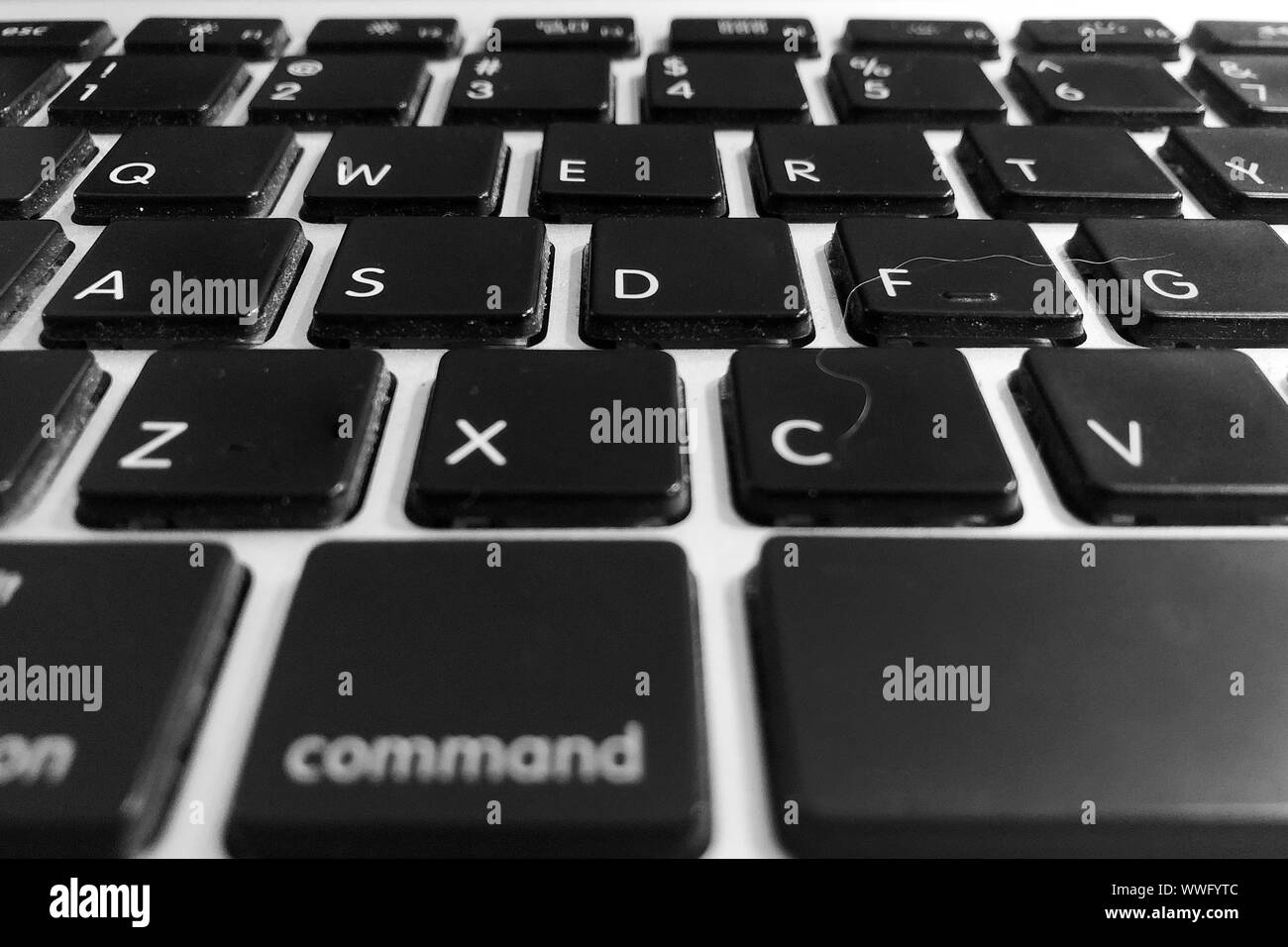 Dirty unclean black computer keyboard with white hair and dust close up detail keyboard buttons Stock Photo