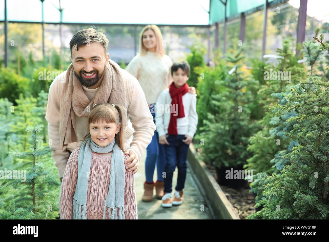 Family choosing Christmas tree in greenhouse Stock Photo - Alamy