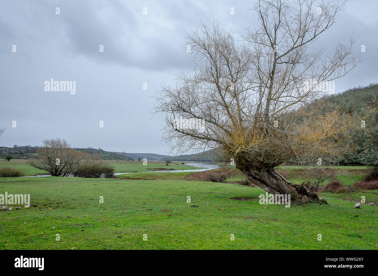 Spain. Field and water in Salinas. Palencia Stock Photo